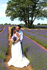 Weddings and events planner London Destination Of Love 1072793 Image 0